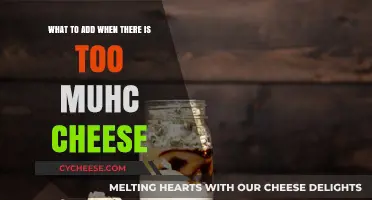 Balancing Excess Cheese: Creative Additions to Perfect Your Cheesy Dish