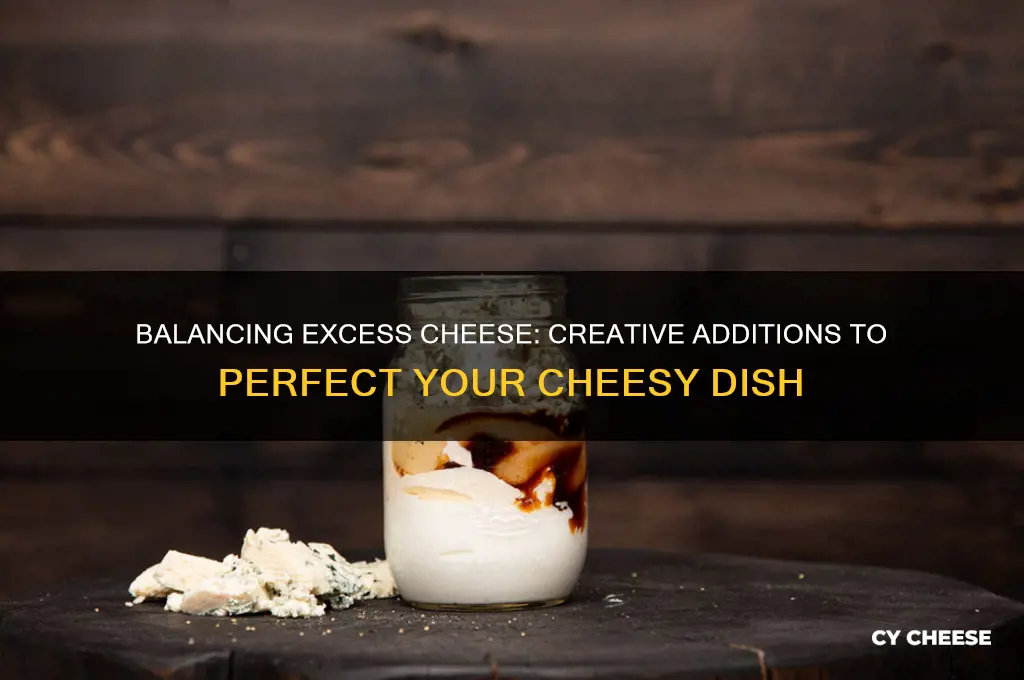 what to add when there is too muhc cheese