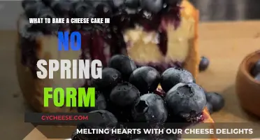 Cheesecake Without a Springform Pan: Easy Baking Alternatives