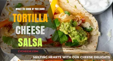 Easy Tex-Mex Dinner: Tortilla, Cheese, and Salsa