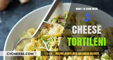 Creative Three-Cheese Tortellini Recipes for Your Next Meal