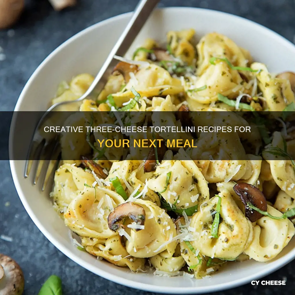 what to cook with 3 cheese tortileni