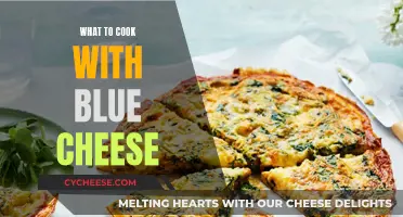 Blue Cheese Delicacies: Creative Recipes to Try at Home