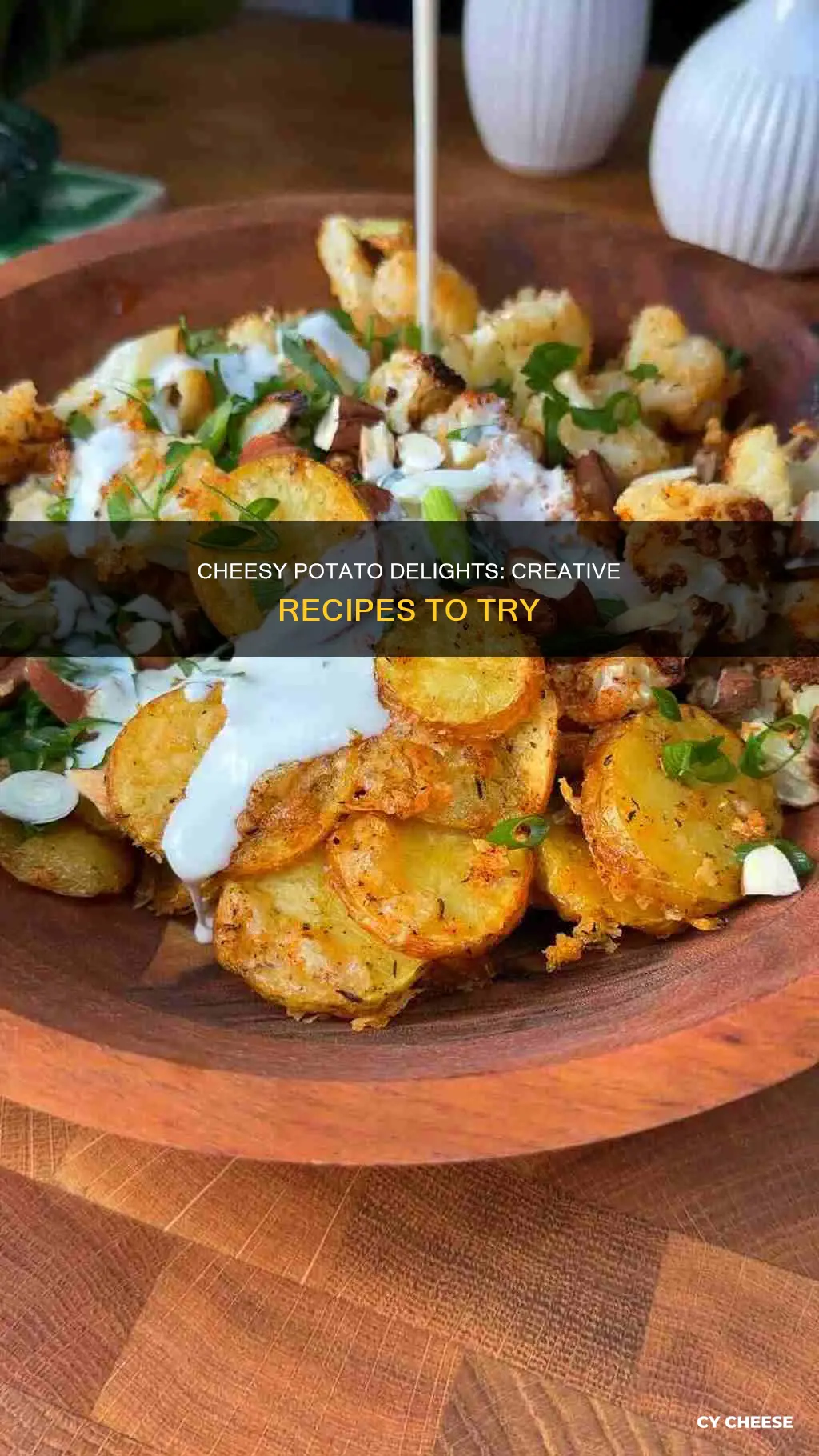 what to cook with cheese potatoes