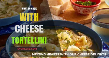 Cheese Tortellini: A Tasty Twist on Classics