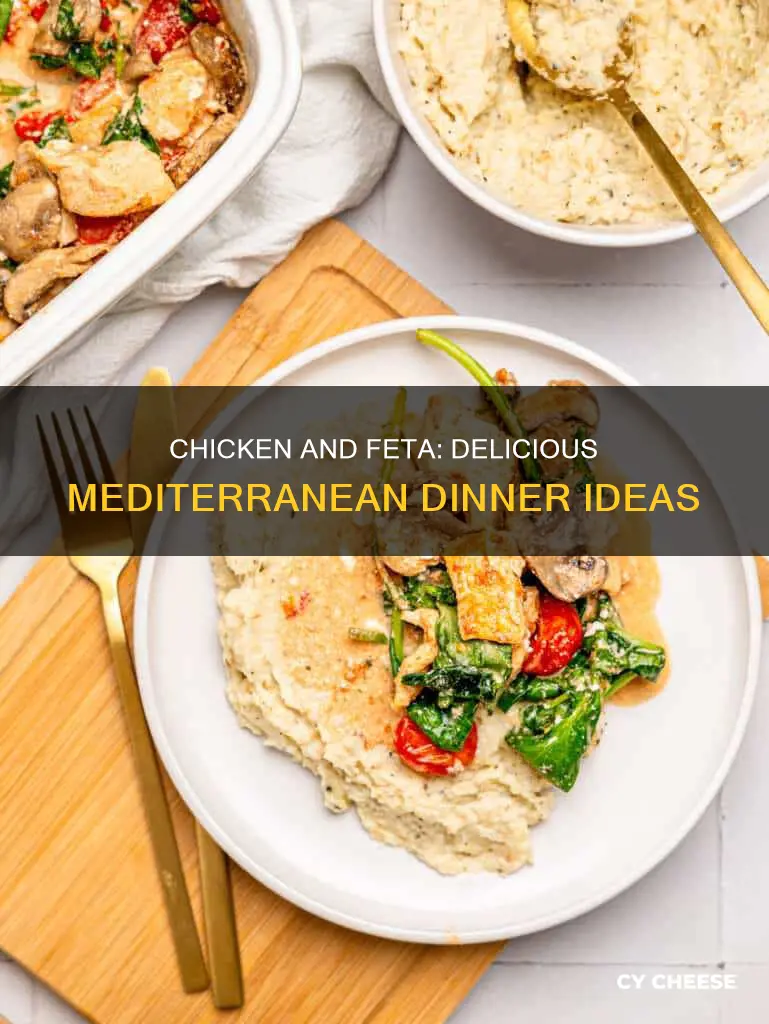what to cook with chicken and feta cheese