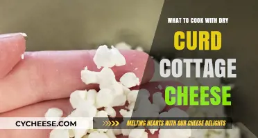 Delicious Dry Curd Cottage Cheese Recipes: Creative Cooking Ideas to Try