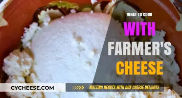 Delicious Farmer's Cheese Recipes to Try at Home
