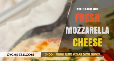 Fresh Mozzarella Delights: Easy, Cheesy, and Delicious Recipes