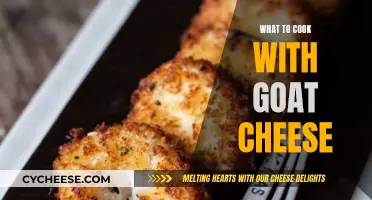 Goat Cheese Delicacies: Culinary Exploration and Creative Recipes