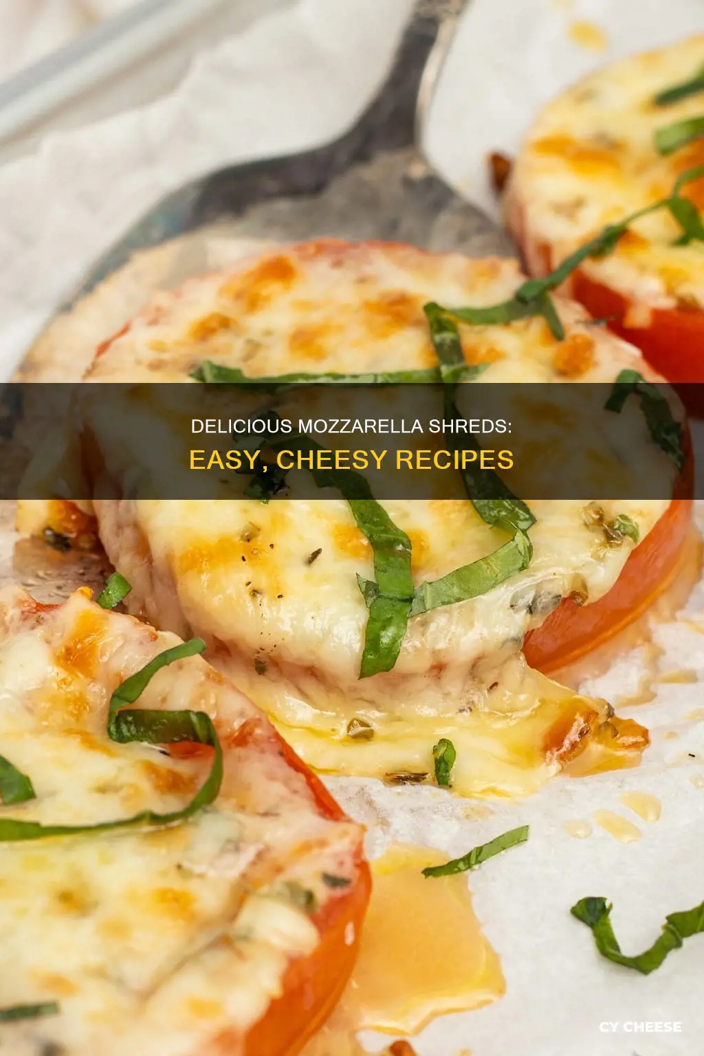 what to cook with shredded mozzarella cheese