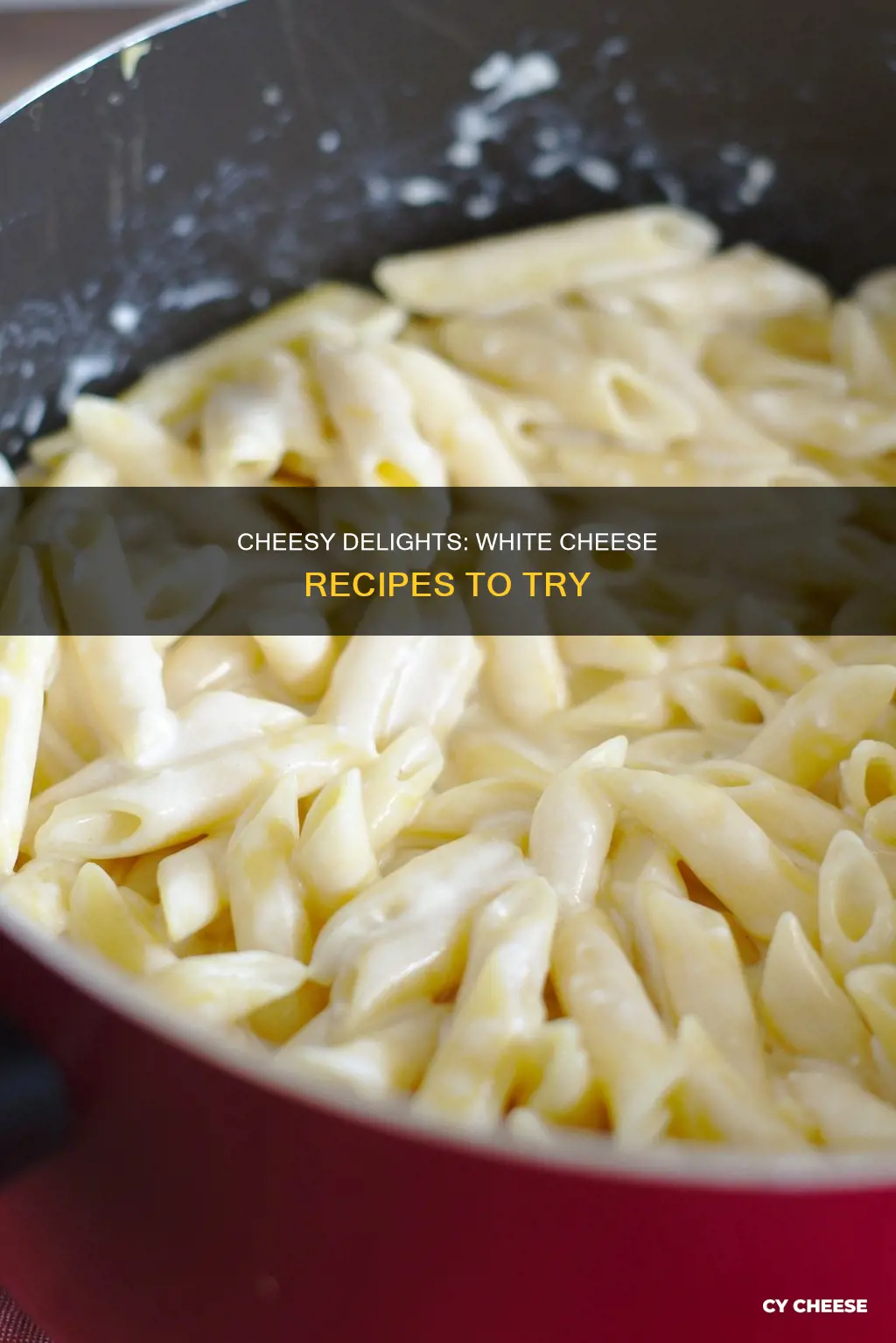 what to cook with white cheese