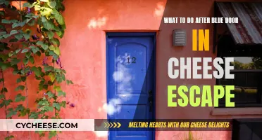 Unlocking the Mystery: Blue Door Cheese Escape