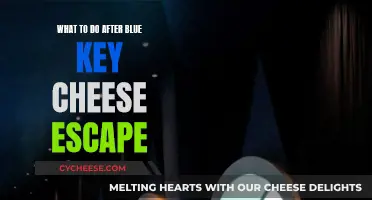 Blue Key Cheese Escape: Post-Breakout To-Dos