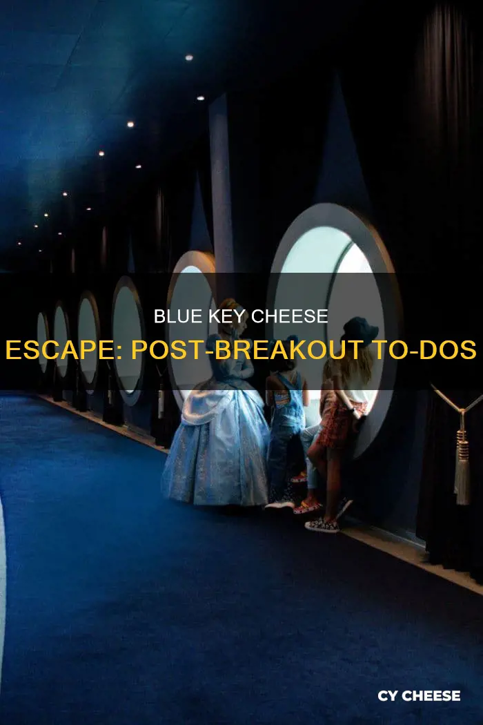 what to do after blue key cheese escape