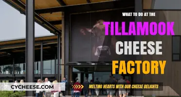 Tillamook Cheese Factory: Top Activities and Must-Try Experiences for Visitors