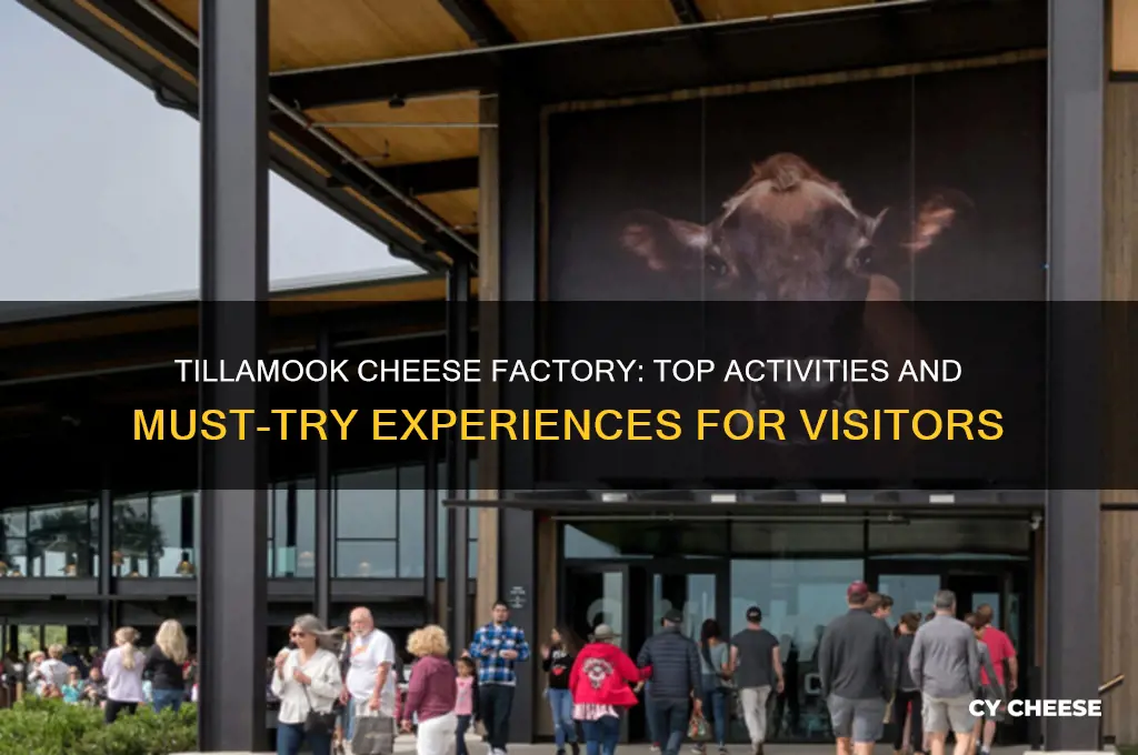 what to do at the tillamook cheese factory