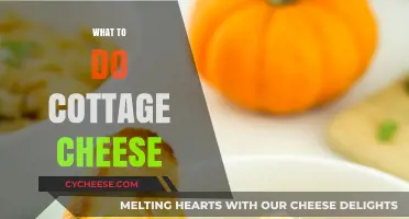 Creative Cottage Cheese Ideas: Delicious Ways to Enjoy This Versatile Food