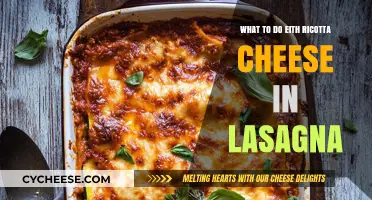 Creative Ricotta Cheese Ideas to Elevate Your Lasagna Recipe