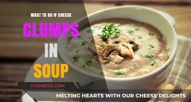 Cheese Clumps in Soup? Quick Fixes to Save Your Dish