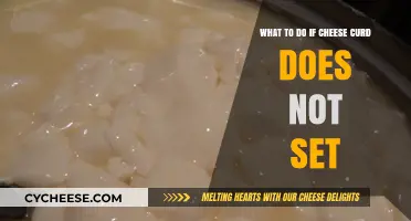 Troubleshooting Cheese Curd: Quick Fixes When Your Curd Doesn't Set