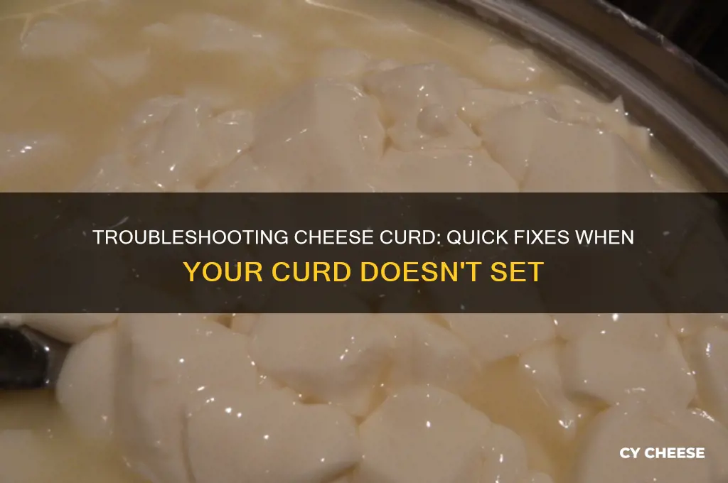 what to do if cheese curd does not set