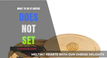 Troubleshooting Cheese Making: Quick Fixes When Your Cheese Won't Set