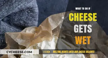 Salvaging Wet Cheese: Tips and Tricks