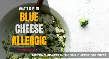Blue Cheese Allergy: What to Do if You Ate Some