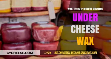 Mold Under Cheese Wax: Quick Fixes and Prevention Tips