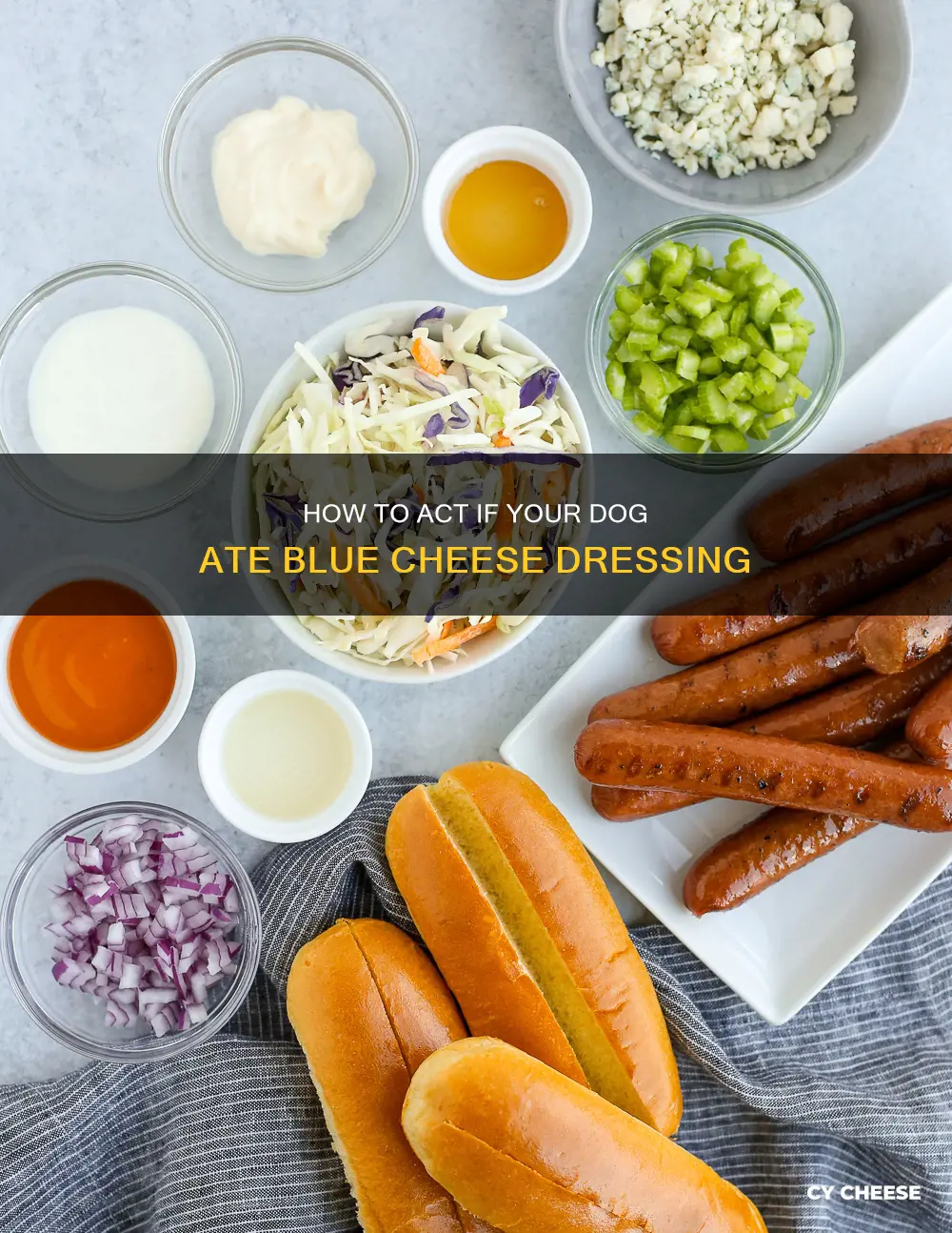 what to do if my dog ate blue cheese dressing