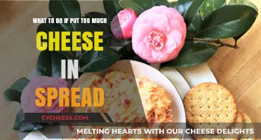 Overdid the Cheese? Quick Fixes for an Overly Cheesy Spread