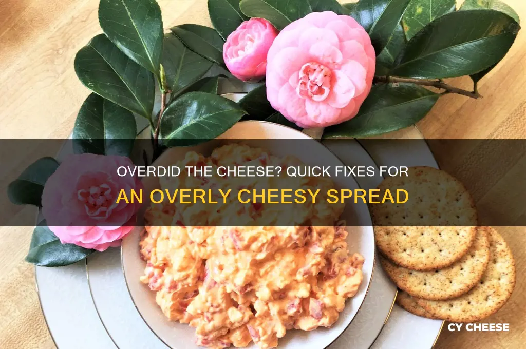 what to do if put too much cheese in spread