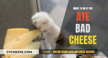 Cheese Gone Bad: What to Do Next