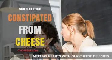 Cheese Constipation Relief: Quick Fixes and Diet Tips for Comfort