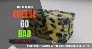 Cheese Gone Bad: What to Do?