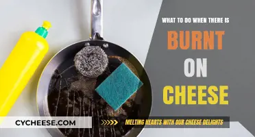Rescue Your Pan: Effective Tips for Removing Burnt-On Cheese