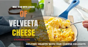 Creative Velveeta Cheese Recipes: Delicious Ways to Use a Block