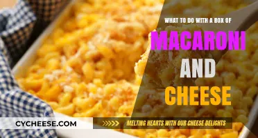 Mac and Cheese: Creative Twists on a Classic