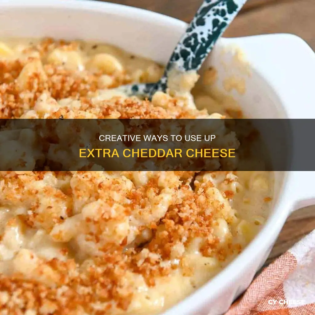 what to do with a lot of cheddar cheese