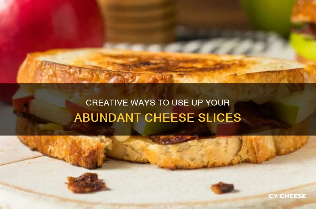 what to do with a lot of cheese slices