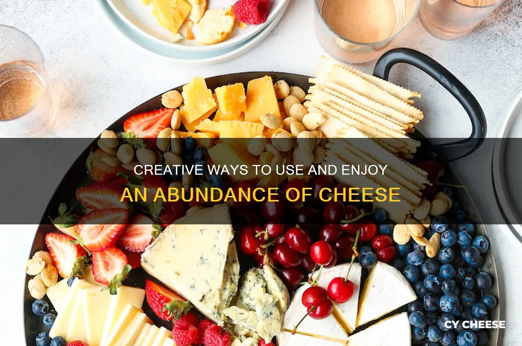 what to do with a lot of cheese