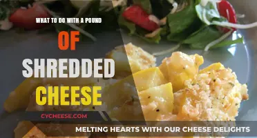 Creative Ways to Use a Pound of Shredded Cheese in Recipes