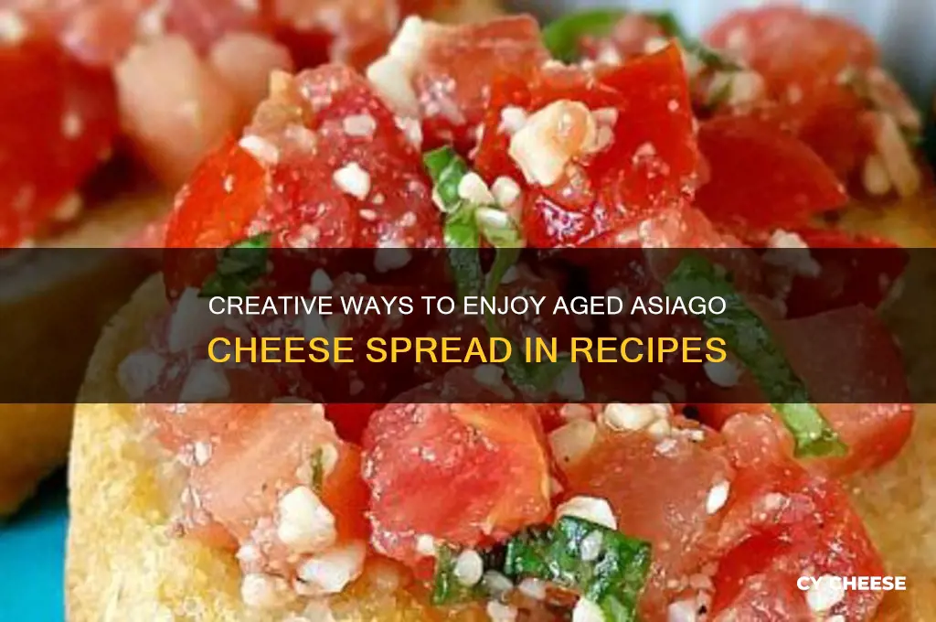 what to do with aged asiago cheese spread