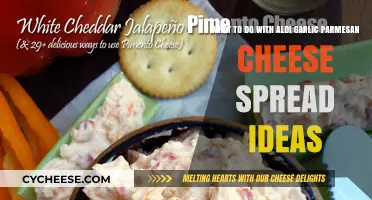 Creative Ways to Use Aldi's Garlic Parmesan Cheese Spread