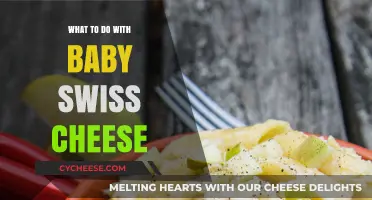 Creative Uses for Baby Swiss Cheese You'll Love