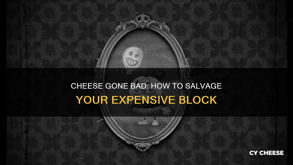 what to do with bad tasting cheese