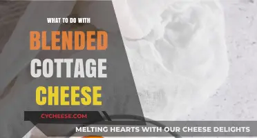 Creative Ways to Use Blended Cottage Cheese in Your Kitchen