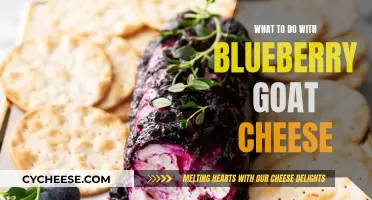 Blueberry Goat Cheese Delights: 5 Creative Ways to Indulge