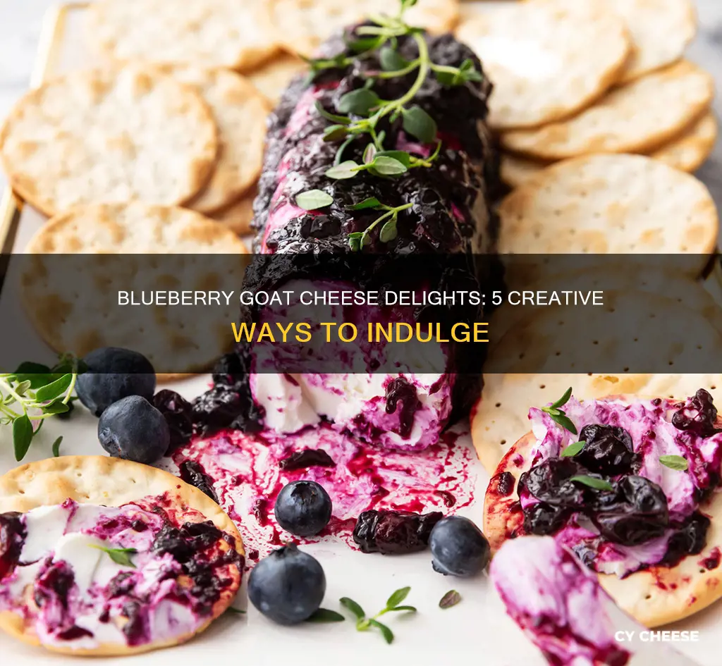 what to do with blueberry goat cheese